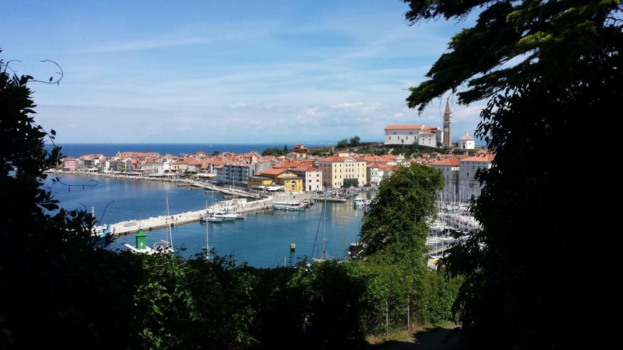 Affittacamere Piraneska