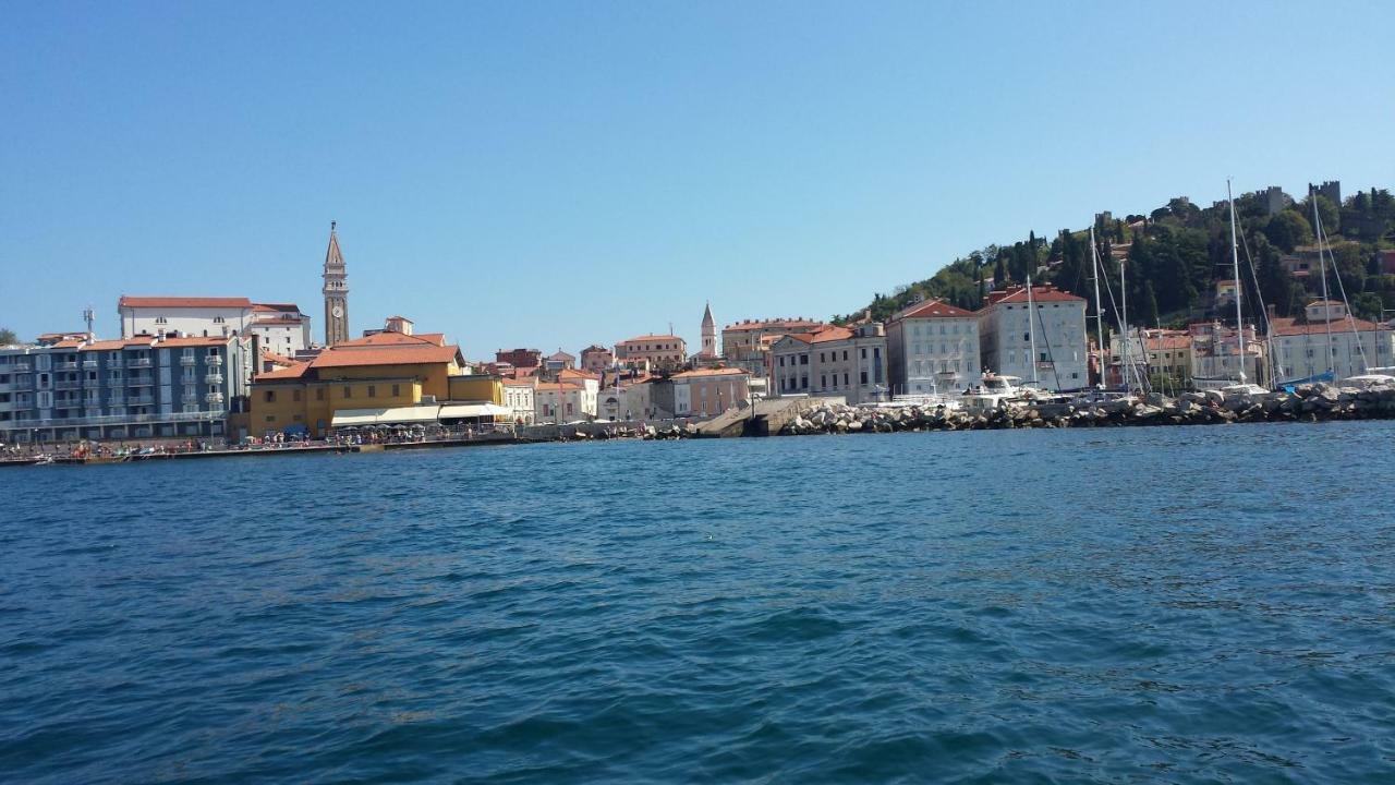 Penzión pre hostí Piraneska Piran